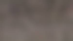 Tropical Cuties  Deli fuck|Tropical Cuties Deli Porn Porn Videos: Best XXX 2025, #2 | xHamster