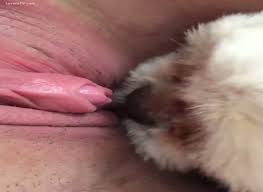 Dog licking pussy php x Dog licking pussy