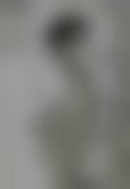 giorgia soleri nude|Giorgia Soleri / alexis_is Nude Leaks OnlyFans Photo #107 - Fapeza