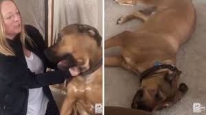 Search whitney wisconsin fucks dog page jpg x Wisconsin fucks dog