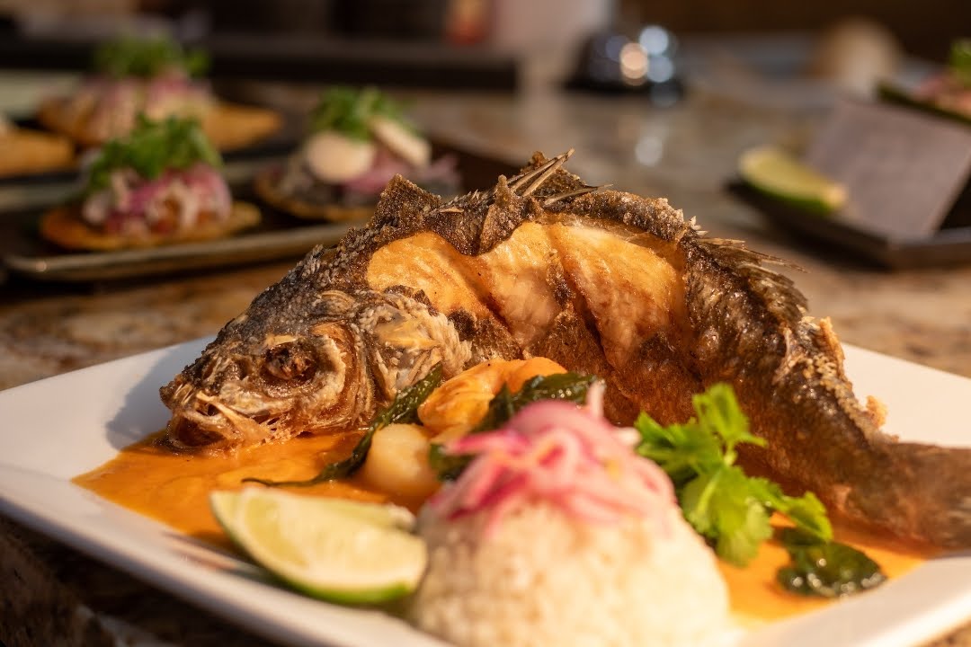 Cantina Los Mayas by null