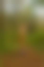 nudism　girl|Beautiful Young Girl Playing Sand On Stock Photo 1168688050 | Shutterstock