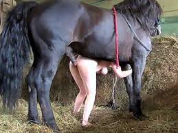 Horses fucking girls in missionary compilation of active horse porn jpg x Fucking horses