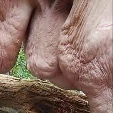 Ssbbw granny jpg x Ssbbw granny