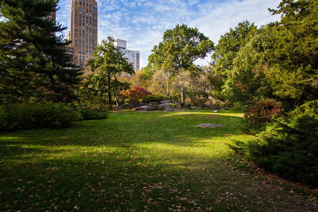 Central Park