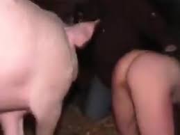 Porn video of pig cumming in womans pussy jpg x Pig fuck girl