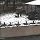 Gazebo Where Tamir Rice Was Killed to Be Loaned to a Museum 