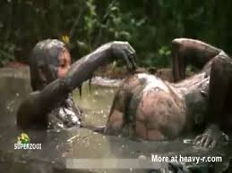 Sara forestier hot sex in mud jpg x Mud sex