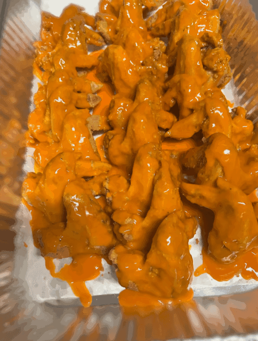 Flights Fish and Wings by null