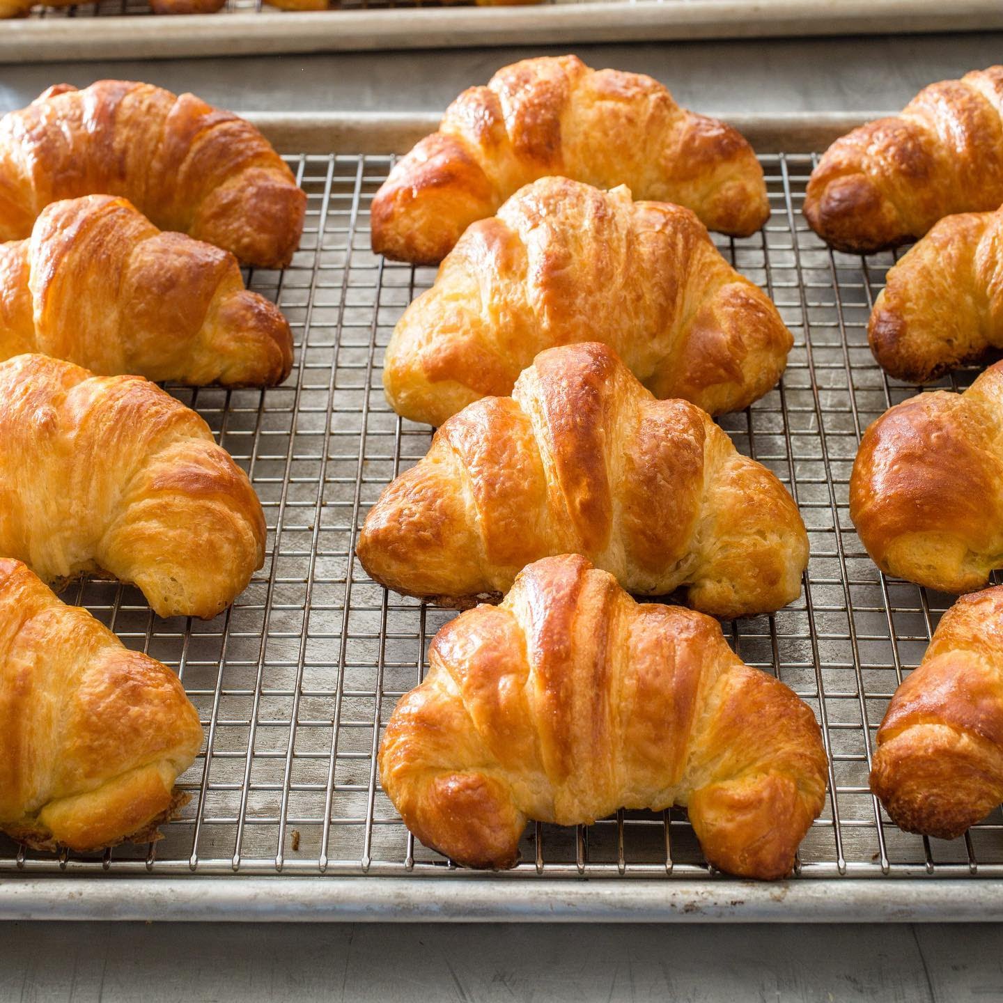 Fancy Plants Cafe by null