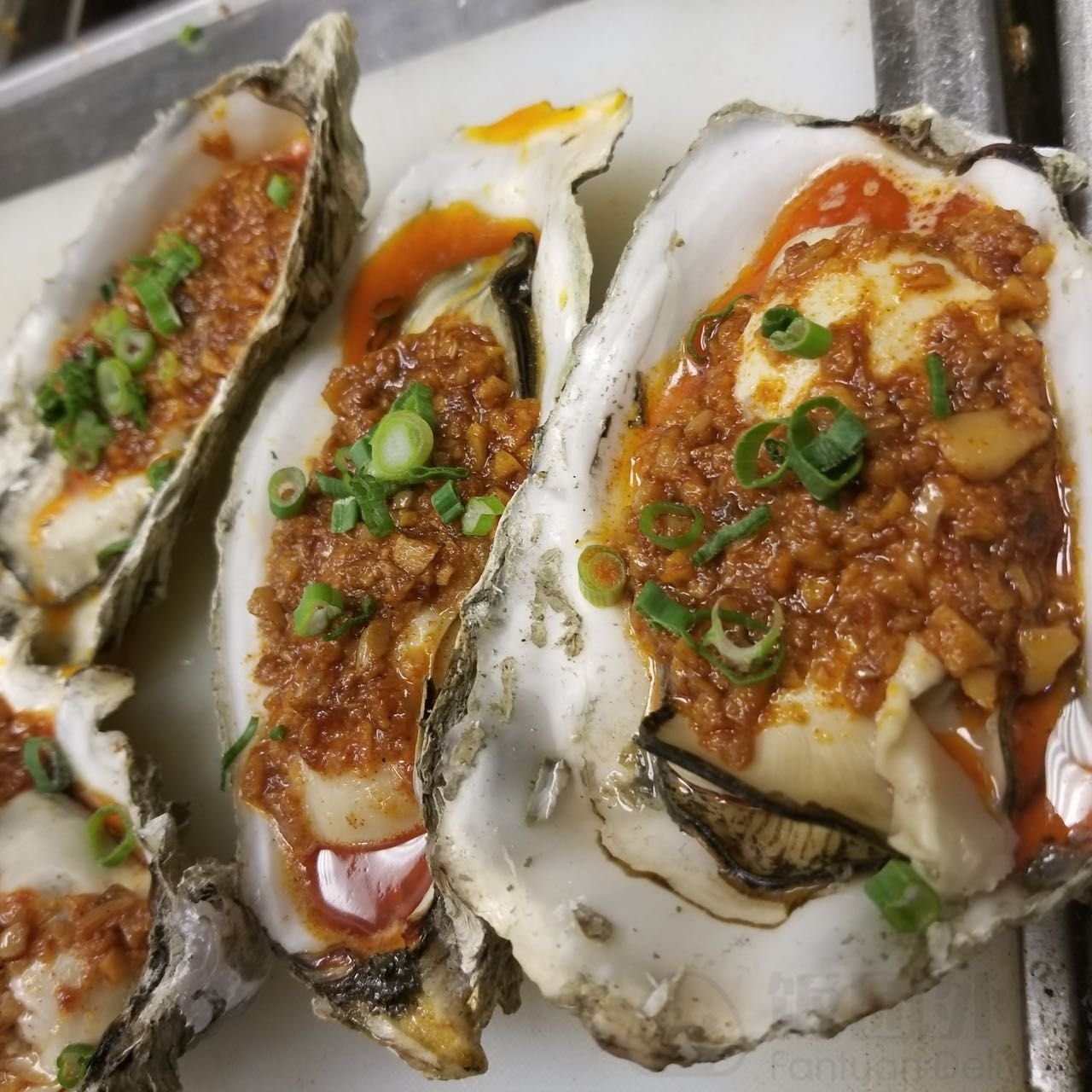 The Cajun House by null