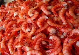 images?q=tbn:ANd9GcSsf4z-H6aTuNSuKgsNfZMoKhz-kxXhAJb1AkXPXgIUqtKGFRN7