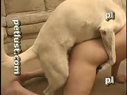 Animation human sex gay dog in the alley cartoon porn jpg x Gay dog sex