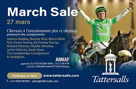 hebe pussy 8ch|St. Mary's Muse