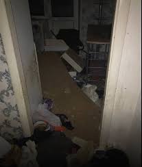 голые малыши|Улправда - Детей – на обследование, мать – под суд. Как спасали голых  малышей в квартире на улице Невского