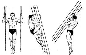Races and learning jiu jpg x Races and learning jiu