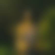 満島ひかりエロ|満島ひかり オナニー画像 「愛のむきだし」で大股開いてアソコ丸出しｗｗｗｗｗ - 裏ピク