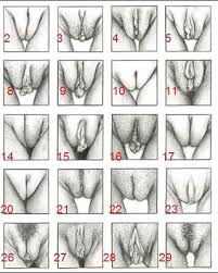Pornhub study reveals trends jpg x Different types of