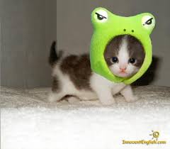 images