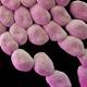 WHO: These 12 bacteria pose greatest risk to human health 
