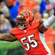 Cincinnati Bengals LB Vontaze Burfict cleared to practice 