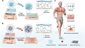 ls- nude lsm 6|An Increase in Mucin2 Expression Is Required for Colon Cancer Progression  Mediated by L1