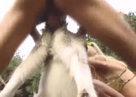 Naughty man makes video on the phone fucking goat zoo porn php x Man fucking goat