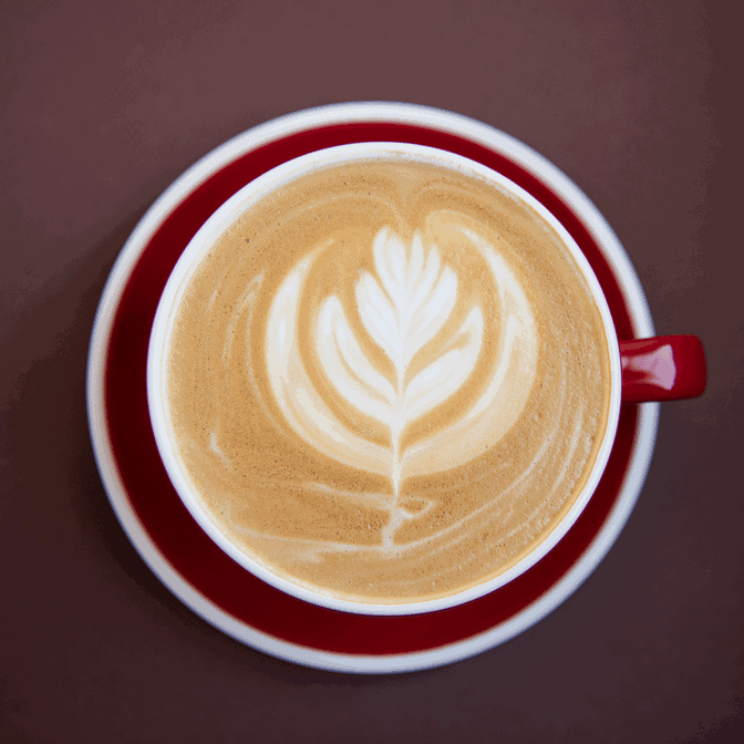 SIGNAL Coffee Roasters by null