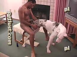 Young guy gets fucked dog gaybeast bestiality porn video jpg x Guy fucked by dog