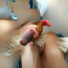 Do i have a nice cock jpg x Nice cock