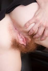Redhead hairy pussy jpg x Redhead hairy pussy