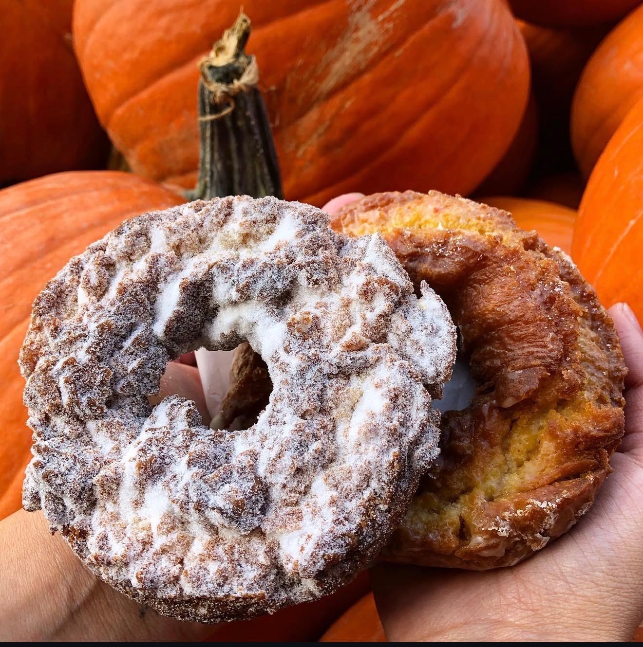 Moe's Doughs by null