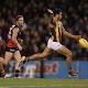 Geelong v Fremantle, Essendon v Hawthorn, North Melbourne v Brisbane: AFL ... 