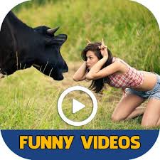 And funny videos jpg x And funny videos