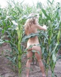 Eaf ggaaawavb o ijyayx jpg x Xxx corn