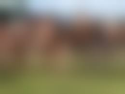 little nudismの|Working on a little nudist beach