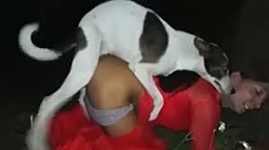 Search dog sex slushe jpg x Fuck my dog