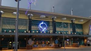 Newport Aquarium Landscaping & Tree Service 