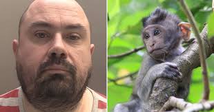 Man sex with monkey flying boy porn after these get inside they jpg x With monkey