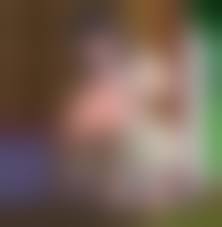  litlle dogs fuck girls gif |2B Fucking Her Dog Missionary (Eviltoastedmw)