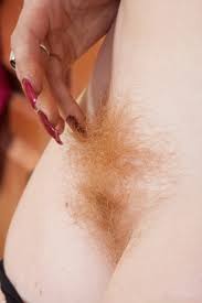 Red pubic hair jpg x Red pubic hair