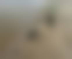 女 全裸 死体|ネクロノルーム【死体系（死を演じる女）アダルトブログ】 - リョナ