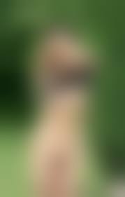 japanese amature outdoor nude|Japanese Amateur Girl853 - Photo #18 / 41 @ x3vid.com