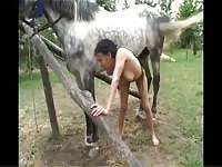 Dark haired german slut enjoys having sex with a horse with her friend jpg x Girl sex with horse