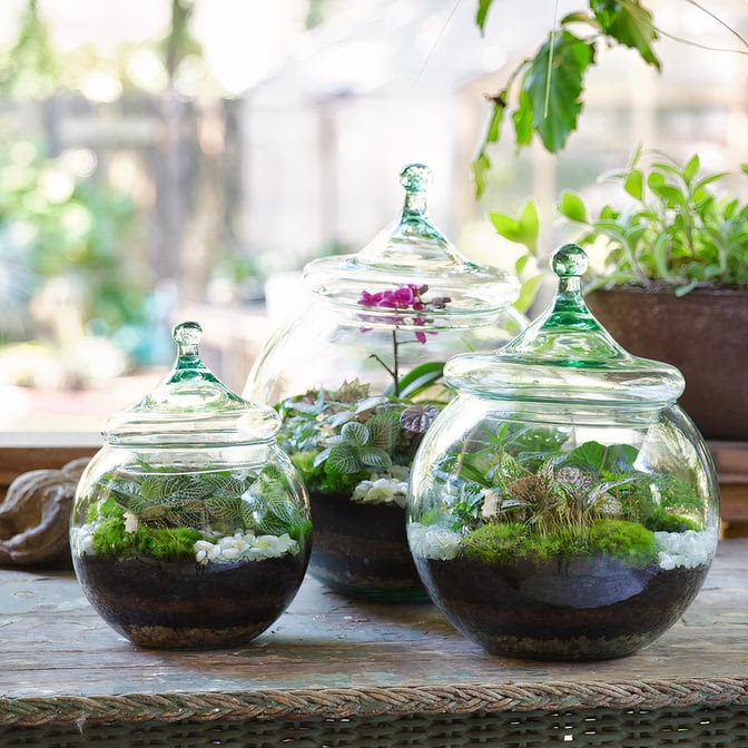 Le Jardin Français Boutique by null