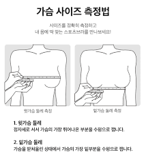 여자초등학생 가슴|초등학생 하교 맞춰 나타난다…'가슴 보여주는 男' 주의보 - 머니투데이