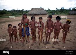 xingu child|Children of the Xingu Indian go to school built in the village by the  ministry of education. It is tradition to go in traditiona Stock Photo -  Alamy