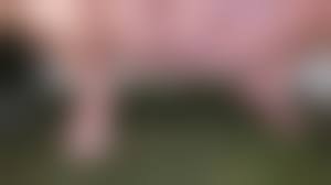 pee pussy|おしっこしながら膣をクローズアップ。彼女の尿道を見る - Pornhub.com