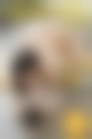 gravure.com春日野結衣 pussy|GRAVURE.COM Yui Kasugano 春日野結衣 Sweet Honey Pt.2