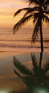 Mir hebe nude girl -1 s